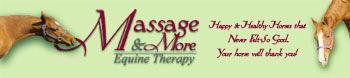 Equine massage and more